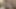 الملاك الآسيوي 25218