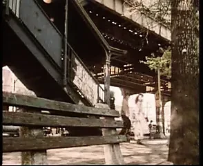 Viva Vanessa del Rio
