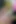 Domming Ivy Minxxx takma yarak emdiriyor ve yüzüne boşalıyor!