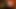 Sucking Big Black Cock Cum On My Face and mouth