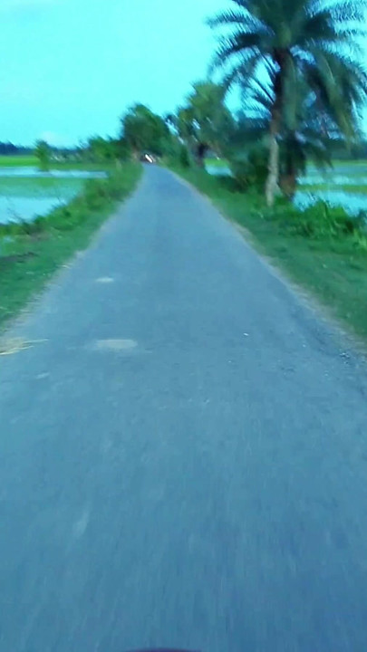 Nice scenery