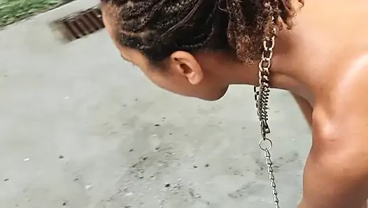 마당에서 산책하고 간식을 먹기 위해 찍은 복종하는 애완 동물