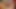 Tanya Tate And Valentina Cruz Slowly Finger Each Other Premium Edit
