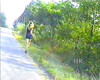 Pregled videozapisa