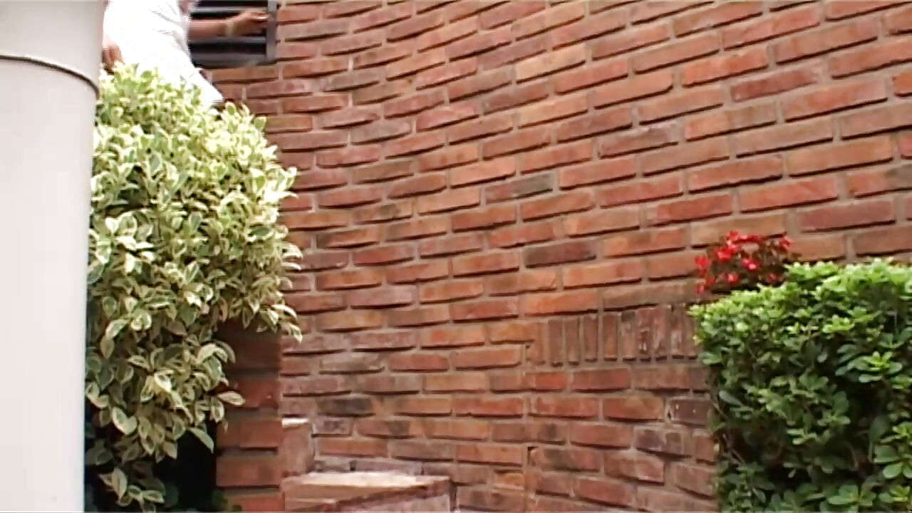 Shemale liar mengambil zakar hitam besar di pantat