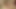Lick balls, blowjob, titfuck, cumeating