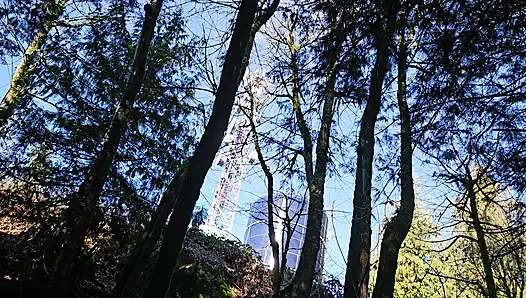 Мне нужно писаю!