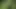 The naked gardener
