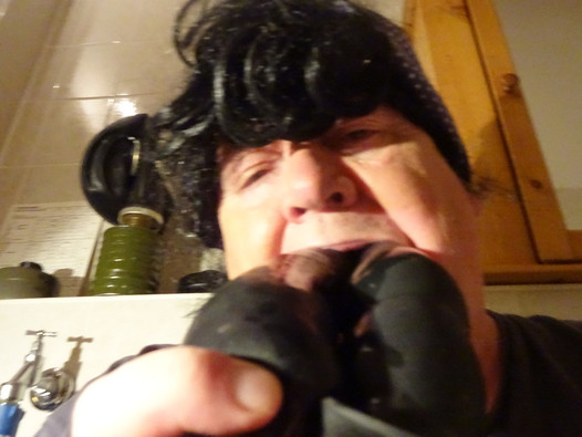 Pregled videozapisa