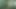 Tasks from the Master 02.07.2020