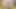 Solo gal, Lelya Mult makes love with Alice Sweet, in VR
