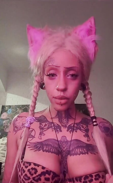 Who Wants More Kitty Girl?