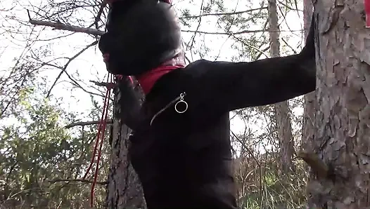 Секс на улице в лесу. Носить сексуальную одежду и высокие каблуки, связали, трахнули в глотку и трахнули