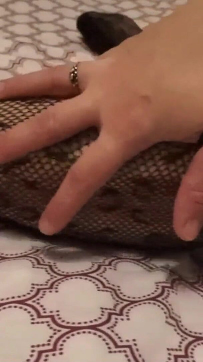 Memorable moment from "Curvy Sexy Slut in Fishnets Shows Off Her Body"