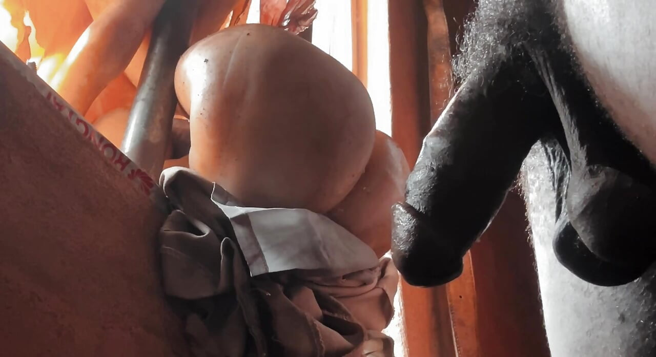 Deep Big Ass & big Dick for all ass