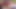Booty trans Latina barebacked with big cock from behind