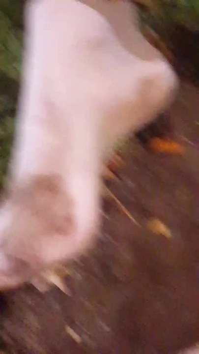 Clean my muddy feet