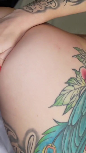 Pregled videozapisa
