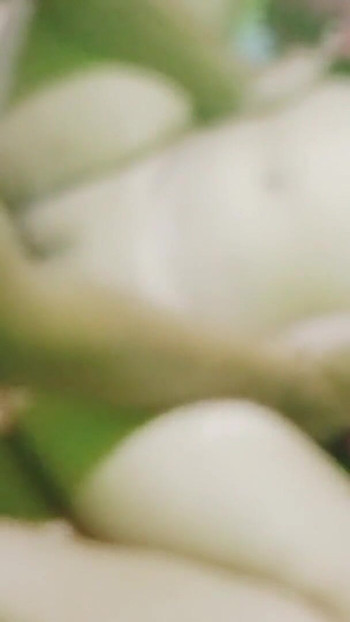 Jaw-dropping moment from "Employees forced by their own bosses to become pregnant"