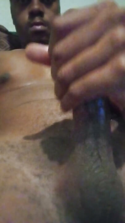 Big Brown Coco