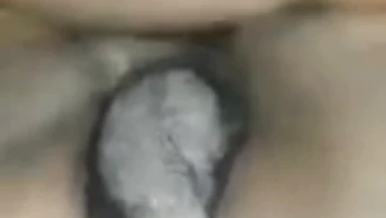 tombul ayı siyah lanet