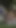 Annie Marin Enjoys Outdoor Camping Threesome with Dani and Phillip