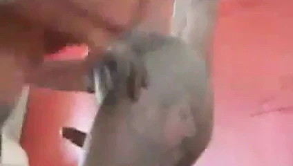 初めての人