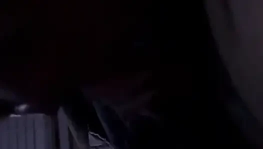 Kätzchen lutscht schwanz