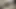 Close up oily strokes that hits haaaaard. Let's Octorbate together if you don't mind😁