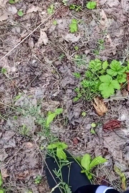 Um amigo chupa meu pau em um parque e engole porra