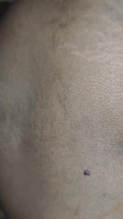 Desi bengali bhabhi Milky boobs pressing and fucked | Clip 1