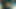 ハッピーシェイク