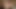 Teanna Trump is taking a big fucking Thundercock to make her pussy feel so good