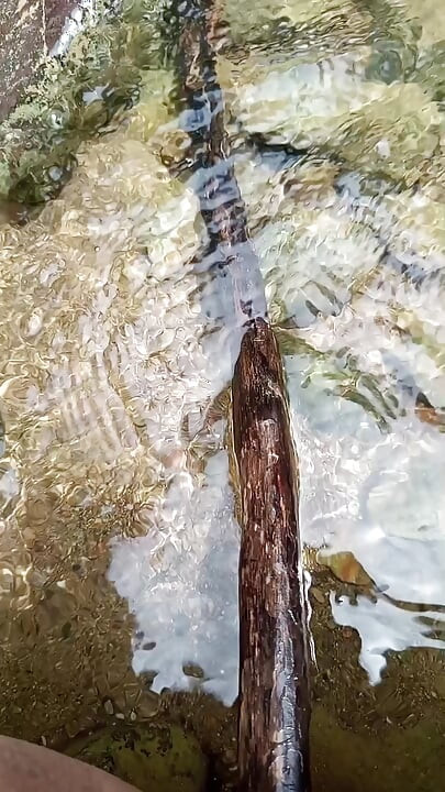 Majka Zemlja pruža. Guzica koja jede