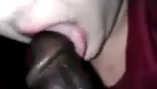 My white slut giving me head in pussy