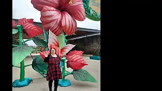 Sat maceralarım tam fotoğraf ve video seti