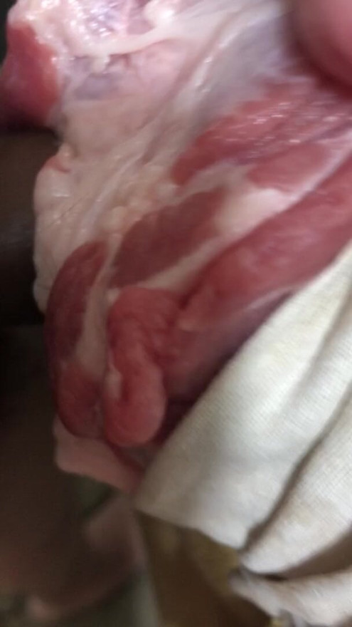 Fuck pork meat