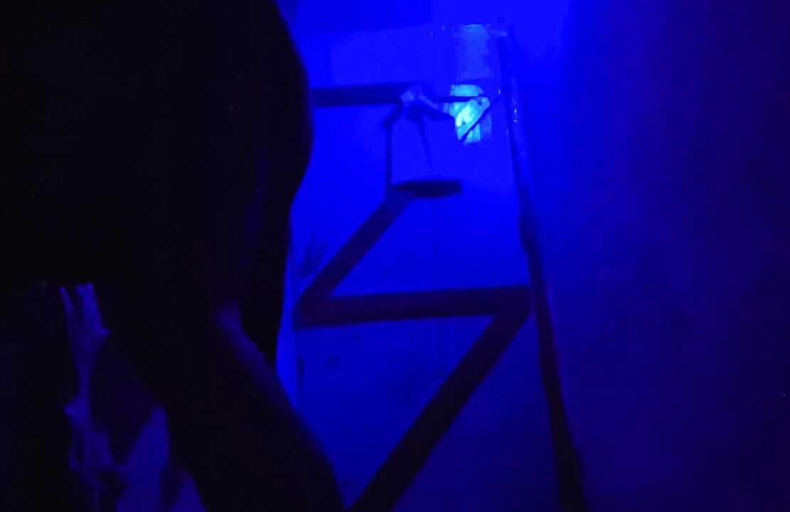 Sex XXX Video Desi Girls