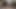 I masturbated while looking at my very long dick hair