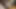 Petra Davis Uses a Vibrator While She Has an Enormous Black