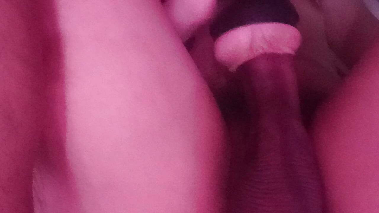 Warm My Milk Day 1648