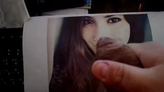 tribute to anna
