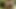 Sarışın travesti tatilde anal büyük bir yarakla prezervatifle sikiliyor