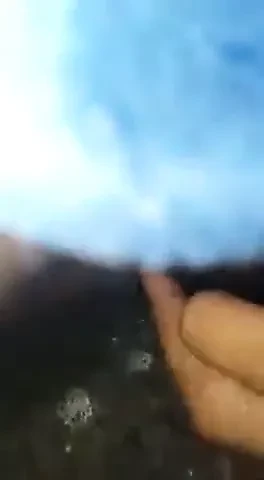 성
