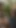 Intimate Missionary Compilation with Mela – Passionate Moments