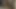 Pam yeni büyük zenci seviyor