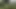 Monster Cock Huge Load in the Woods