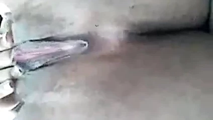 KEDİ oyun