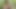 A 19 Age Girl And I Had Very Nice Sex Jungle, He Sucking Cock Beautiful, Because You Climb On Tob Of Me And Fuck Me