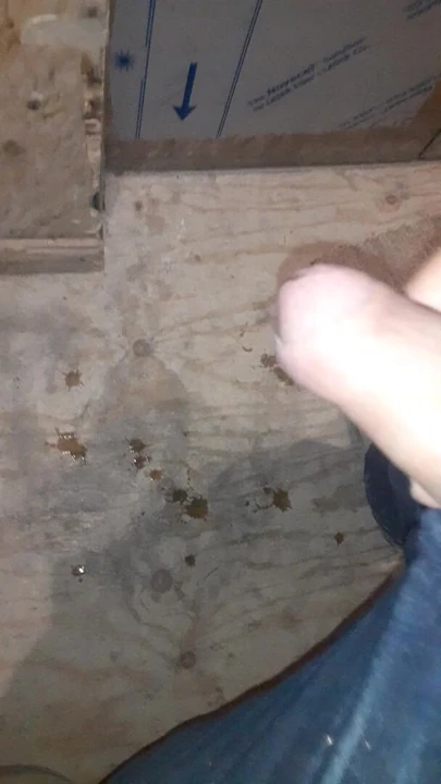Big dick McGee jarred333